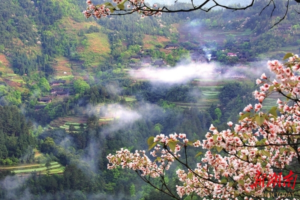 长龙三十年真情写诗篇——长沙市对口帮扶龙山县三十周年巡礼(图3)