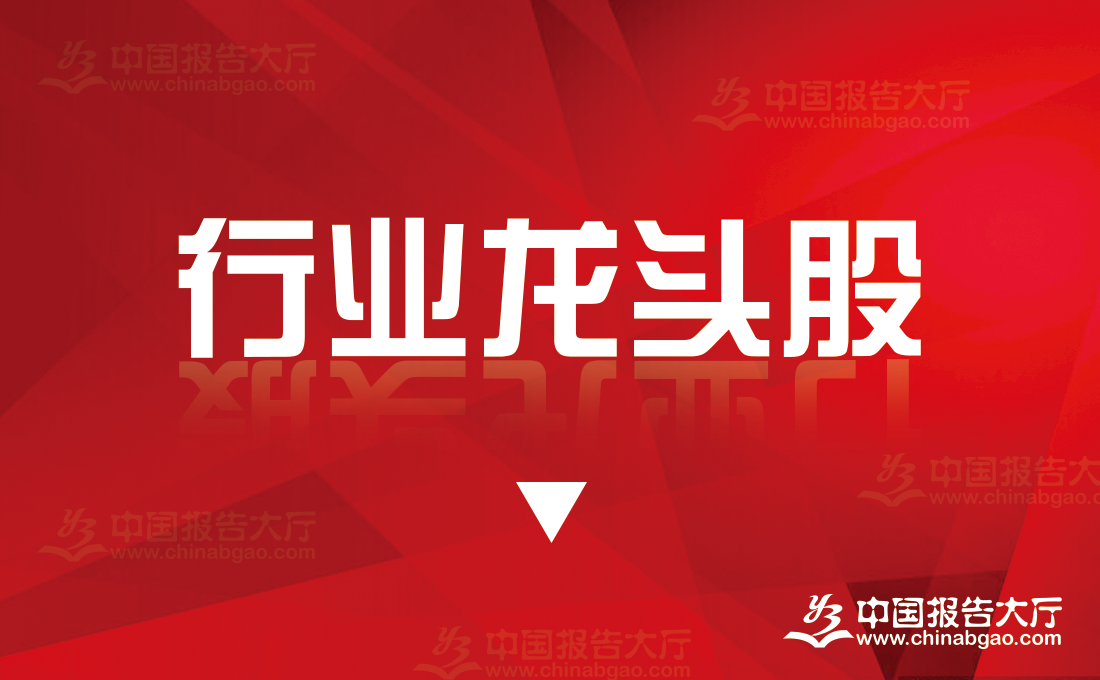 2024年11月化工上市重点企业一览表（化工上市重点企业）(图1)