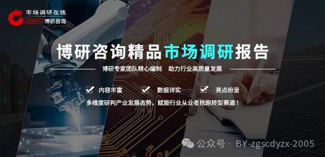 2024-2030年中国环氧树脂防腐涂料行业市场供需态势及前景战略研判报告(图1)